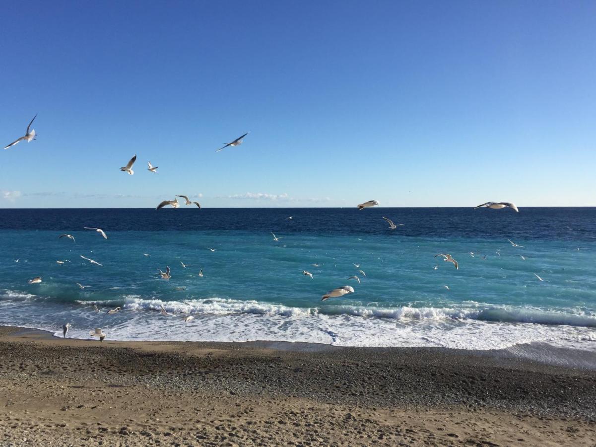 Palais Elisabeth Promenade Des Anglais 尼斯 外观 照片